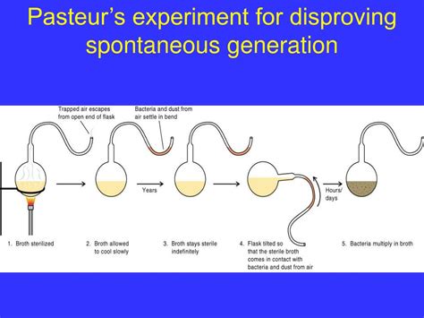 louis pasteur disprove spontaneous generation.